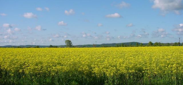 cropped-blau-gelb-mit-Wolken