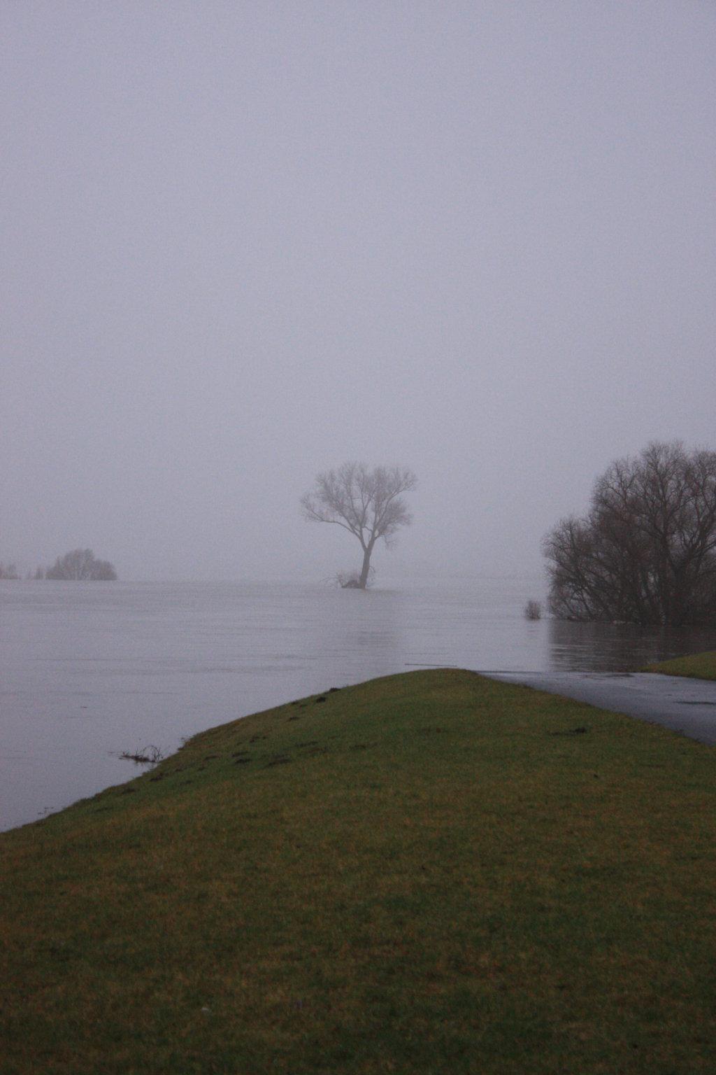 Das Bild zeigt die Elbe bei Hochwasser vom Deich beim Privelacker Paradiesgarten aus gesehen.