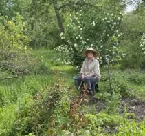 Das Bild zeigt Babette im Privelacker Paradiesgarten, wie sie eifrig gejätet und pflanzt