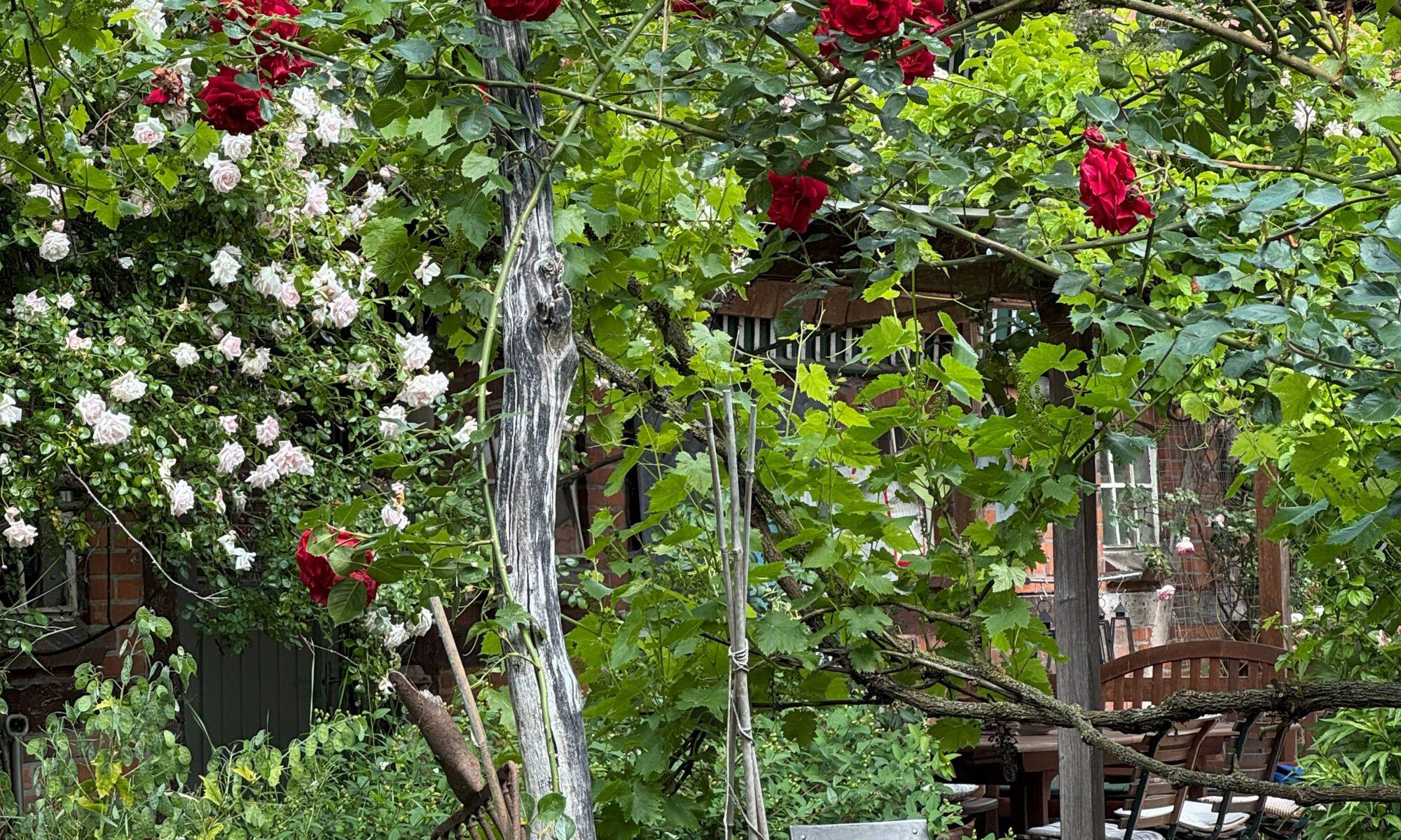 das Bild zeigt die Sitzplätze vor dem Café, die überdacht und von Rosen und anderen Blumen umgeben sind.