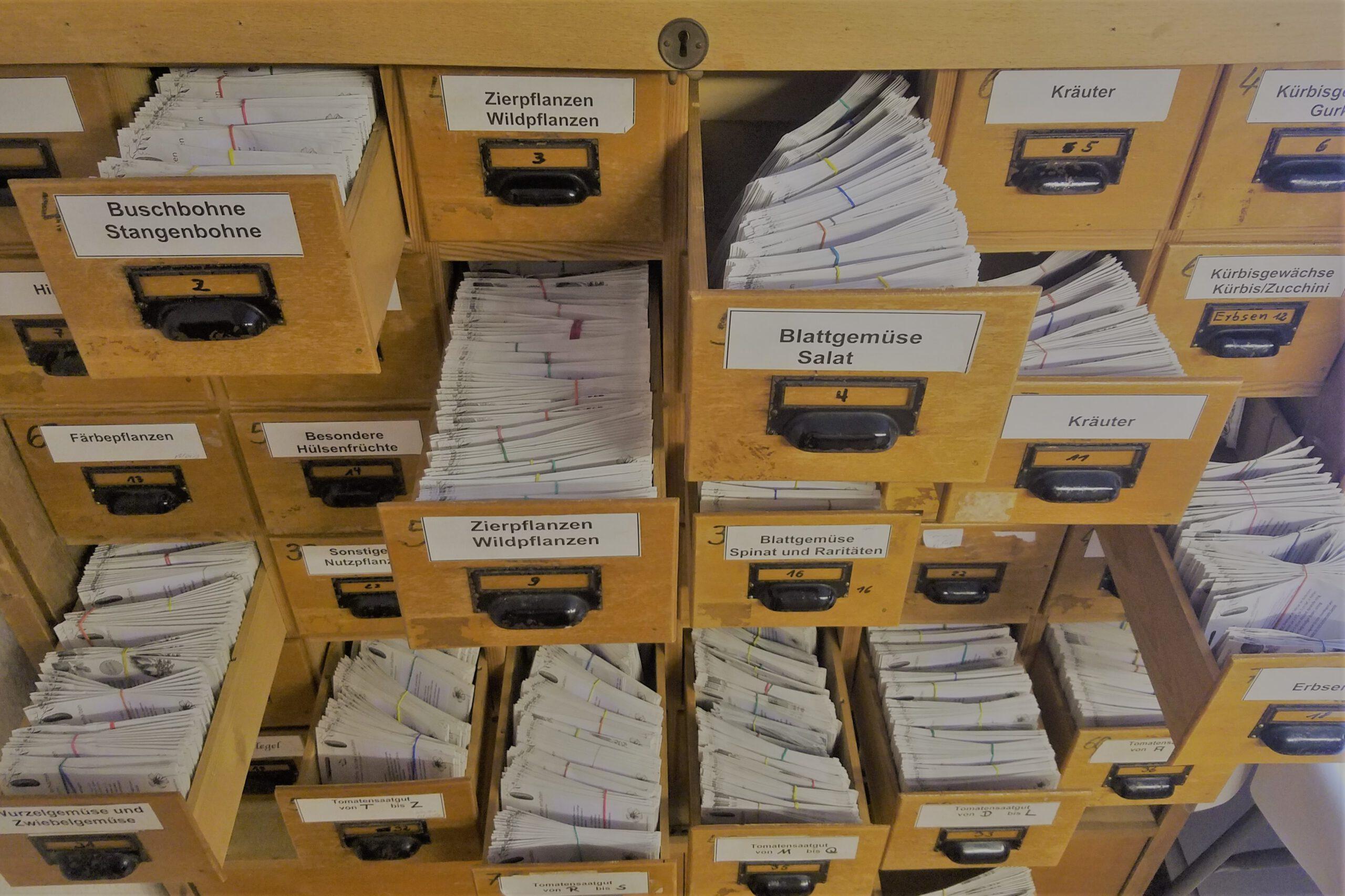 Das Bild zeigt einen Saatgutschrank, gefüllt mit vielen verschiedenen Genüsesaaten.